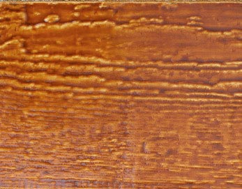 Butternut