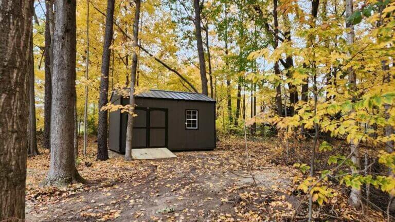 Outdoor shed surrounded by autumn trees