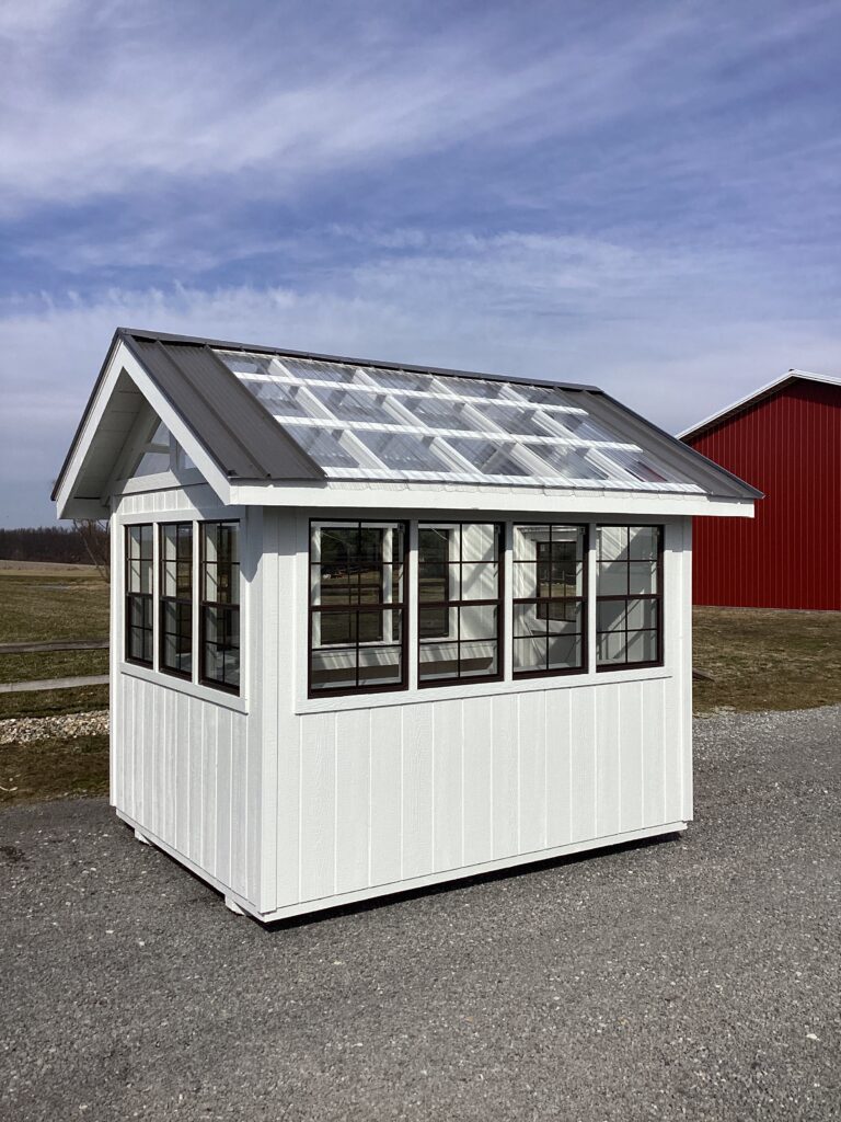 Greenhouse: 8' x 10'
