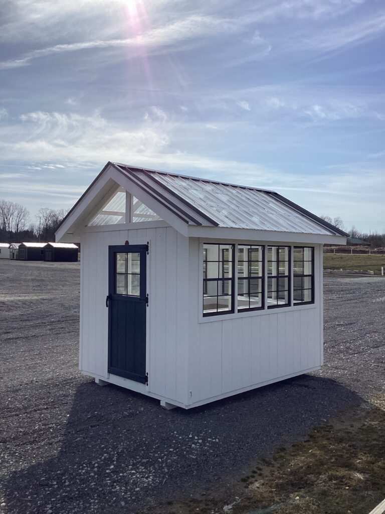 Greenhouse: 8' x 10'