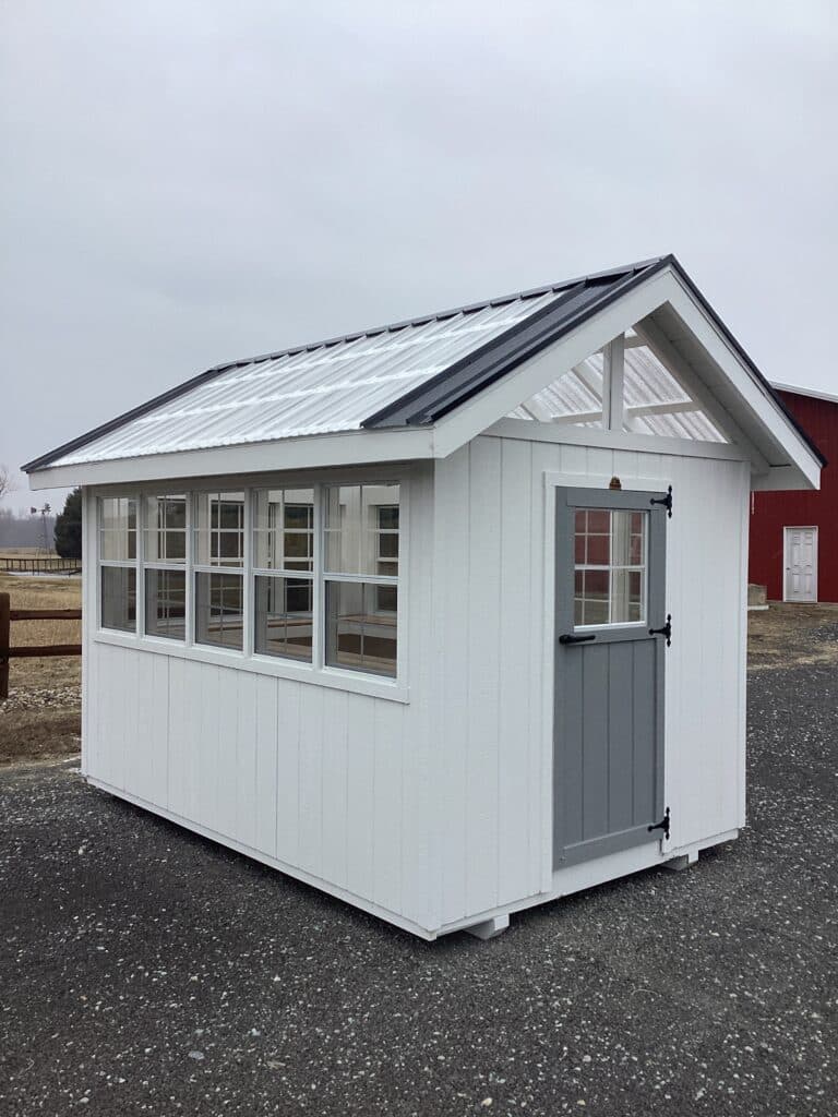 Greenhouse: 8' x 12'
